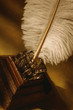 Photo: feather feather