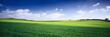 russia summer landscape - green fileds, the blue sky and white c russia summer landscape - green fileds, the blue sky and white c