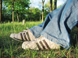 running shoes and spring grass running shoes and spring grass