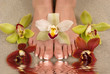 orchids and feet
