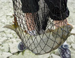 angler mit fisch im kescher