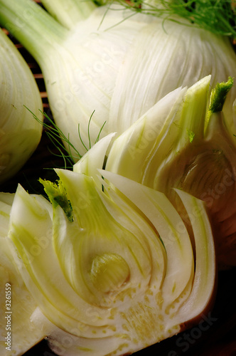 fennel