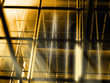 mystical cage world
