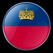 liechtenstein flag button