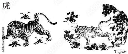tiger