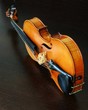 violin