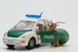 polizistenschnecke