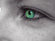 grünes auge