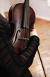 violin
