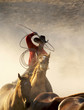 lasso in motion lasso in motion