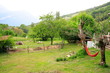 campagne en chartreuse