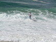 surf