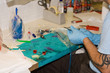tattooist preparing to work