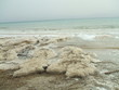 rocks of salt & minerals.the dead sea's shore.
