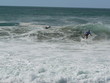 surf