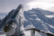vue mont blanc