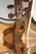 violon in water violon in water