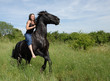 cheval sauvage