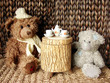 tea-party