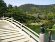 bridge in japanese garden