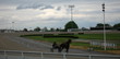 yonkers racetrack