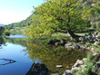 rydal water in spring
