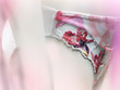 culotte de femme
