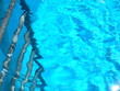 in den pool in den pool