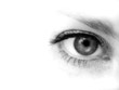 auge