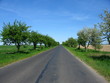 road