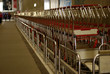 charriots à bagages