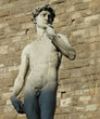 michelagelo's david, florence