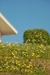 architecture et nature