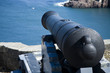 old cannon