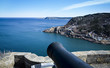 old cannon
