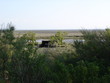 cabane d'affût