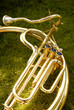 tuba