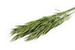 green grass isolated on white