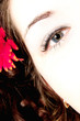 augenbild 1