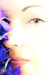 blumenportrait 4