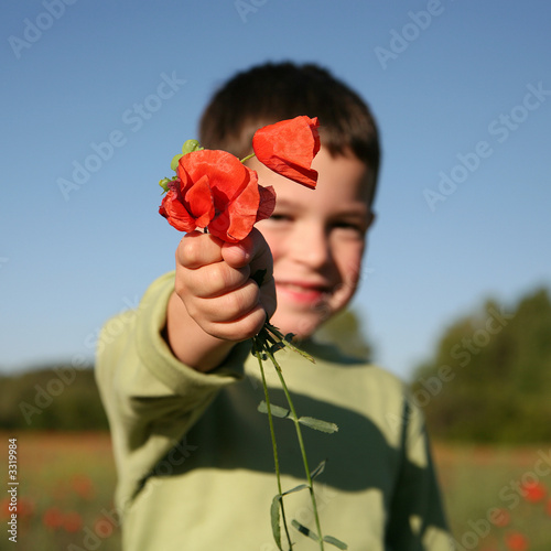 Photo: bouquet de coquelicots bouquet de coquelicots