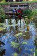 two boys looking at little animals in the water