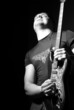 the guitarist