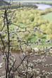springtime