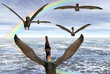 aves migratorias