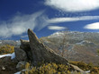 el cerrón