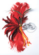 feather mask