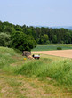 landwirtschaft