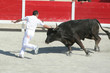 raseteur en action