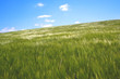 paysage